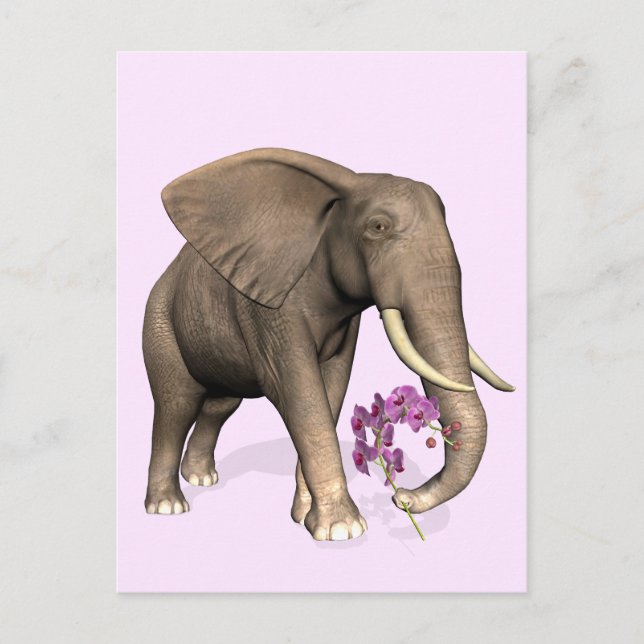Elefant mit rosa Orchid Postkarte (Vorderseite)