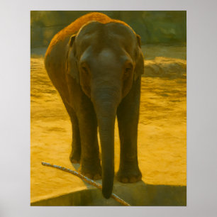 Elefant mit Verzweigung an der Wasserkante Poster
