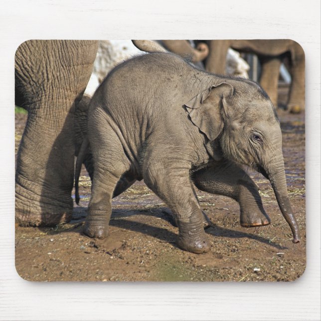 Elefant Mousepad (Vorne)