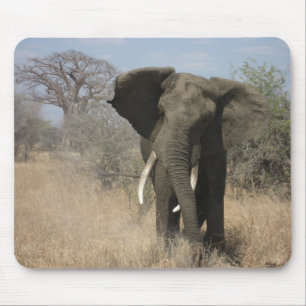 Elefant Mousepad