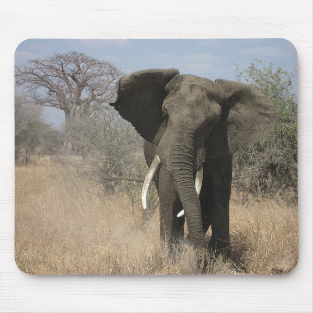 Elefant Mousepad (Vorne)