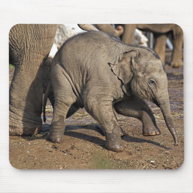 Elefant Mousepad (Vorne)
