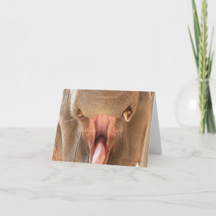 Elefant-Mund Notecard Karte