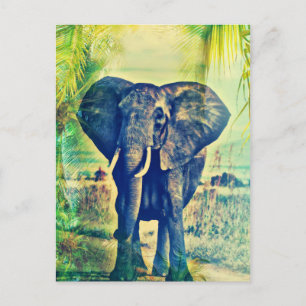 Elefant Palmen Postkarte