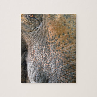 Elefant Puzzle