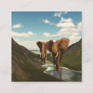 Elefant Quadratische Visitenkarte
