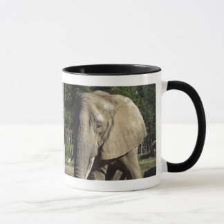 Elefant-Tasse Tasse