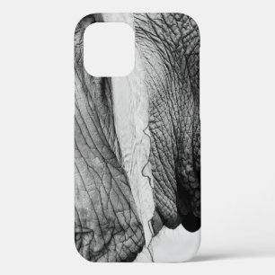Elefant Tier Wildnis Haut iPhone 12 Hülle