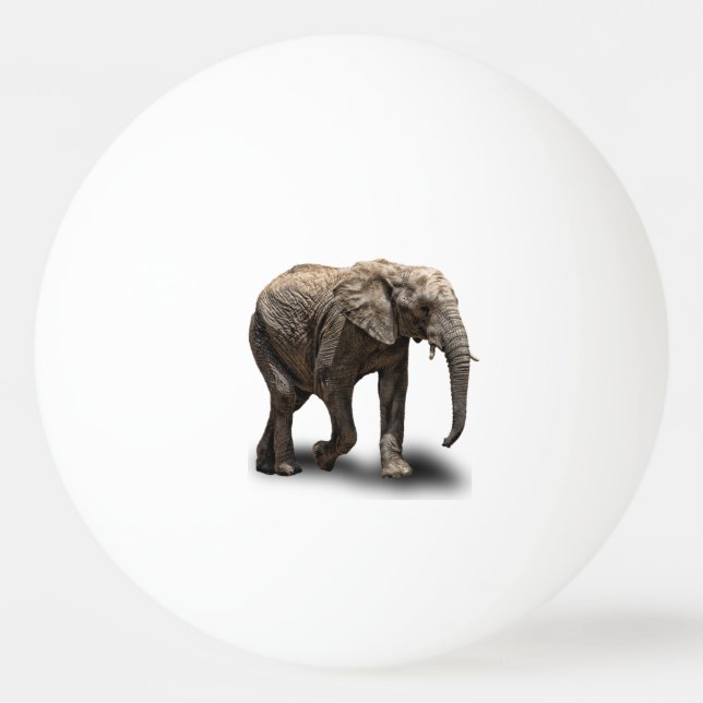 ELEFANT TISCHTENNISBALL (Vorderseite)