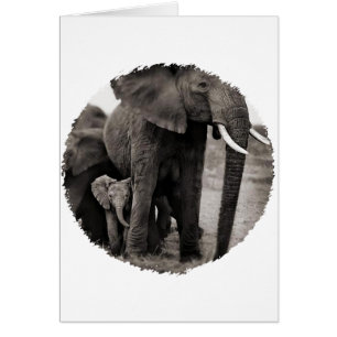 Elefant u. Baby-Elefant