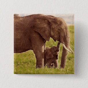 Elefant u. Baby Getty Bild-  Button