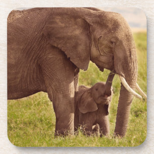 Elefant u. Baby Getty Bild-  Getränkeuntersetzer