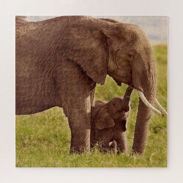 Elefant u. Baby Getty Bild-| Puzzle (Horizontal)