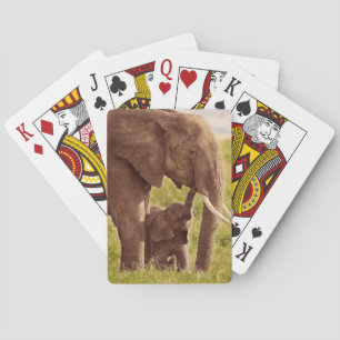 Elefant u. Baby Getty Bild-  Spielkarten