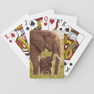 Elefant u. Baby Getty Bild-  Spielkarten