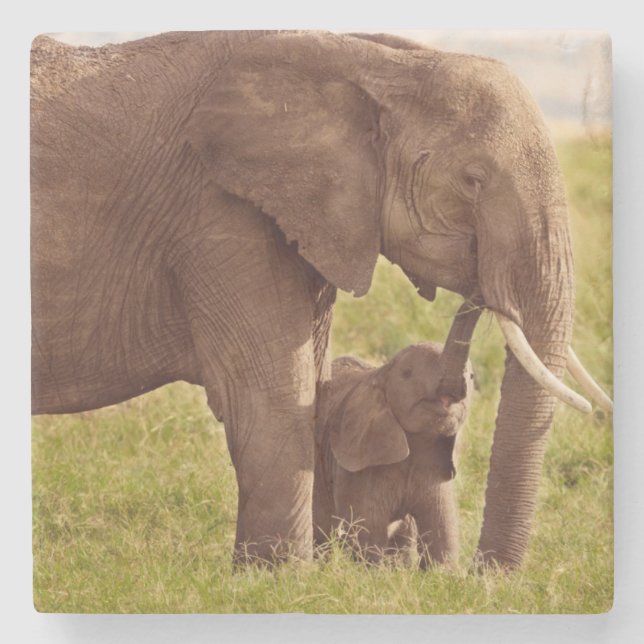 Elefant u. Baby Getty Bild-| Steinuntersetzer (Vorderseite)