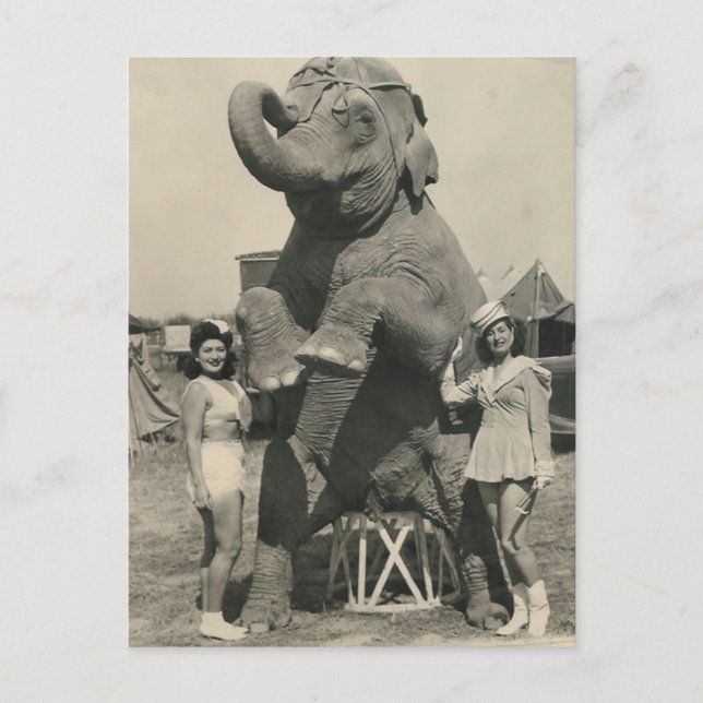 Elefant und 2 Mädchen Zirkus Postkarte (Vorderseite)