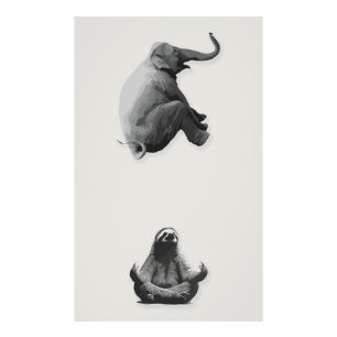 Elefant und meditierende Faultier-Harmonie Fotodruck