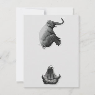 Elefant und meditierendes Faultier Harmonie Postkarte