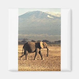 Elefant vor Kilimanjaro Magnet