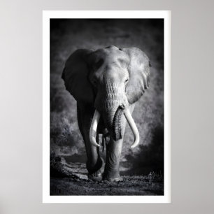 Elefant-Wandkunst Minimalistisch Schwarz & Weiß Poster