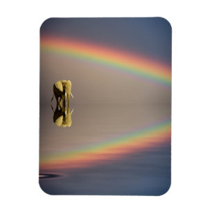 Elefant, Wasser & Regenbogen, Kenia Magnet