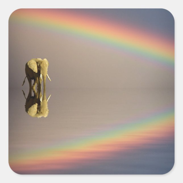 Elefant, Wasser & Regenbogen, Kenia Quadratischer Aufkleber (Vorderseite)