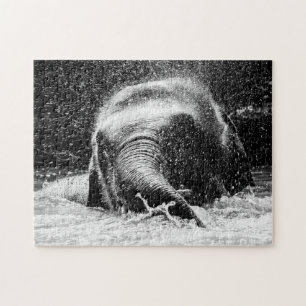 Elefante Badezeit, Puzzle