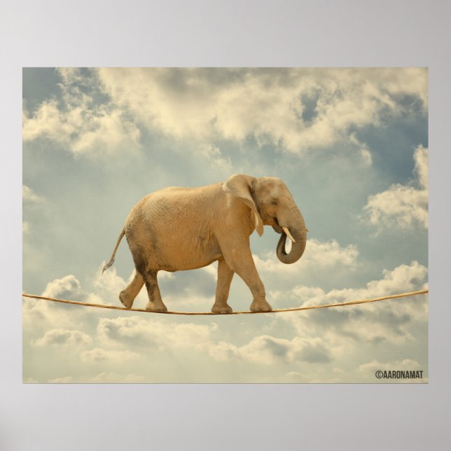 Elefante Poster (Vorne)