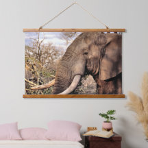 Elefanteliebhaber Kunst
