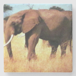 Elefanten auf der wilden Papierküste Steinuntersetzer