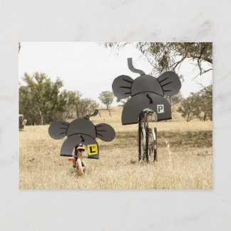 Elefanten auf Rädern Postkarte