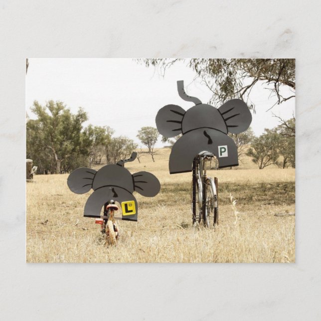 Elefanten auf Rädern Postkarte (Vorderseite)