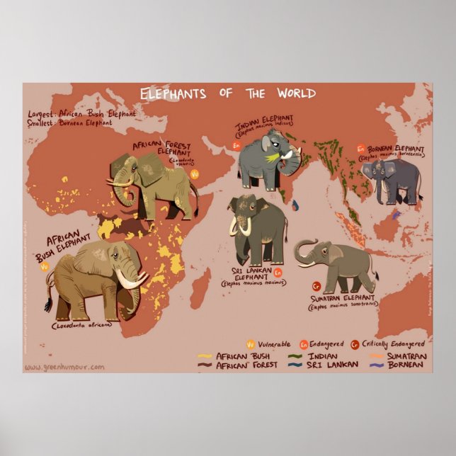 Elefanten der Welt Poster (Vorne)
