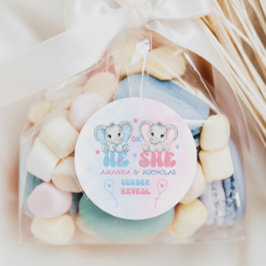 Elefanten, die er oder sie rosa blaue Genderdarste Runder Aufkleber