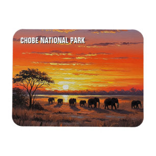 Elefanten im Chobe-Nationalpark Botswana Magnet