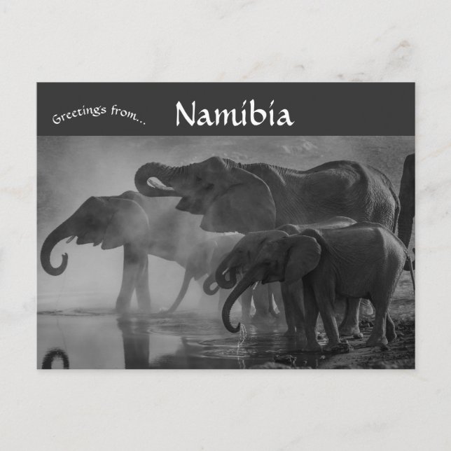 Elefanten im Etosha-Nationalpark Namibia Postkarte (Vorderseite)