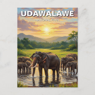 Elefanten im Udawalawe-Nationalpark in Sri Lanka Postkarte