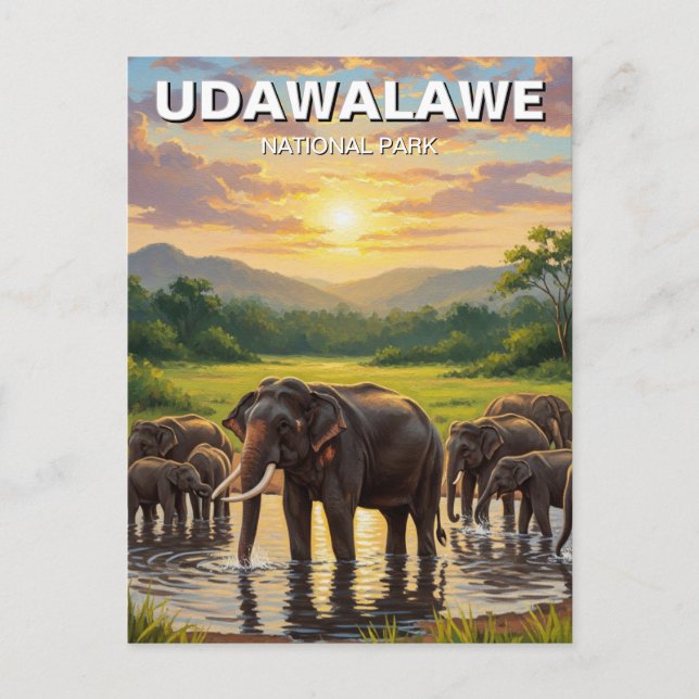 Elefanten im Udawalawe-Nationalpark in Sri Lanka Postkarte (Vorderseite)