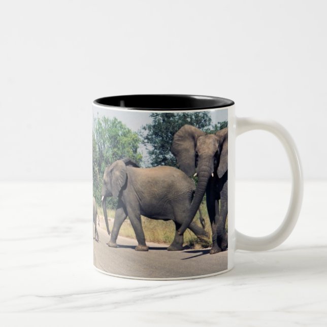 Elefanten in Kruger Park Zweifarbige Tasse (Rechts)