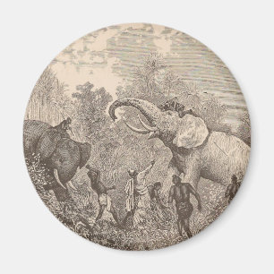 Elefanten jagen magnet