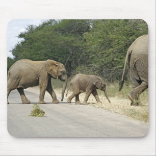 Elefanten Mousepad