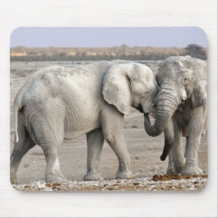 Elefanten Mousepad