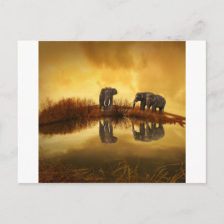 Elefanten Postkarte