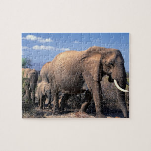 Elefanten-Puzzle Puzzle