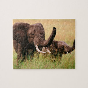 Elefanten-Puzzle Puzzle