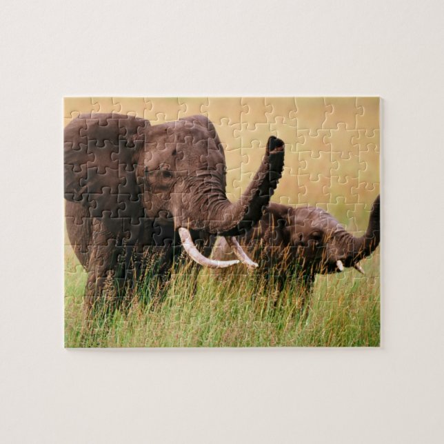 Elefanten-Puzzle Puzzle (Horizontal)