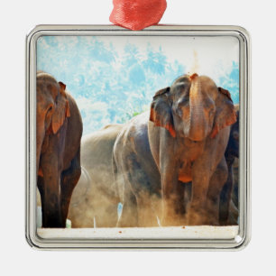 Elefanten Tiere Safari Schicksal Frieden Liebe Silbernes Ornament