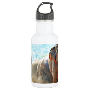Elefanten Tiere Safari Schicksal Frieden Liebe Trinkflasche