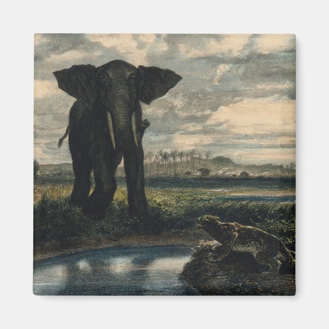 Elefanten und ein Panther in der indischen Wüste Magnet (Vorne)